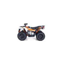 Quad Kayo AU125