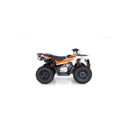 Quad Kayo AU125