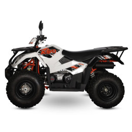 Quad KAYO AU300 T3B