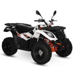 Quad KAYO AU300 T3B