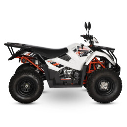 Quad KAYO AU300 T3B